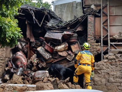 搜救隊及搜救犬進入屋內搶救