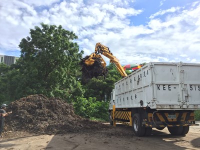 廢樹枝是園藝造景好幫手