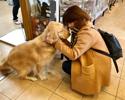 中市通過寵物生命紀念業許可證收費標準 把關毛小孩生命最後旅程