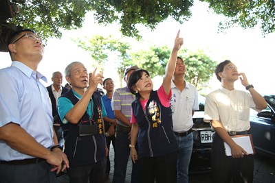 楊副市長指示加速補助作業