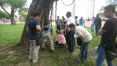 與會人員觀察褐根病疫區樹木狀況