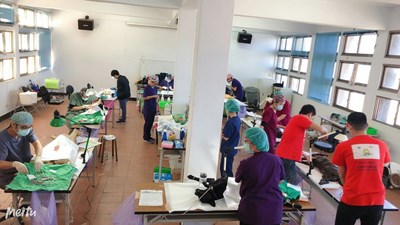 犬貓絕育在和平　獸醫駐點打疫苗