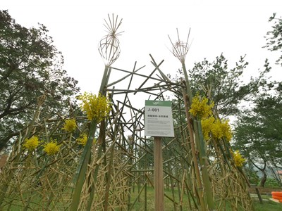 浪漫台三線漫遊大茅埔  國際竹編藝術家「水到渠成」作品亮相