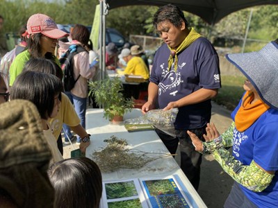 拒絕入侵！ 中市府教您如何辨識有害外來植物