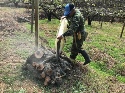 補助使用益菌肥