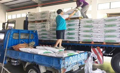 中市啟動農業重建復耕專案 補助資材助受災農民復耕