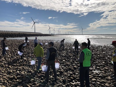 中市放流400萬顆種苗 盼復育重要貝類「赤嘴」