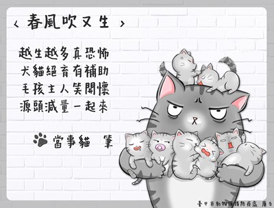 中市109年家犬貓絕育補助將開跑