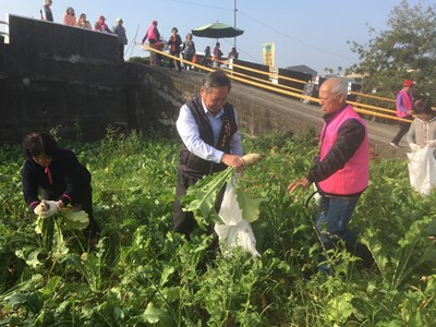 霧峰拔蘿蔔體驗活動