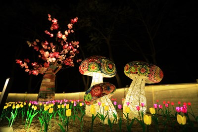 新社「綺麗花都」燈組圖