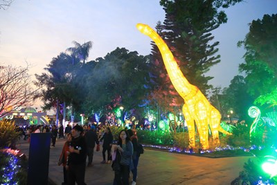 立體動物花燈到固定時間會隨音樂「動」起來