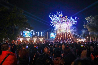 賞燈人潮盛況空前