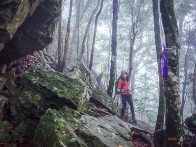 「谷關七雄登山趣」迴響熱烈   中市府加碼完登證書限期追加申請