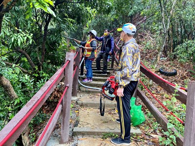 荔枝椿象不要來！ 中市府啟動平腹小蜂生態防治