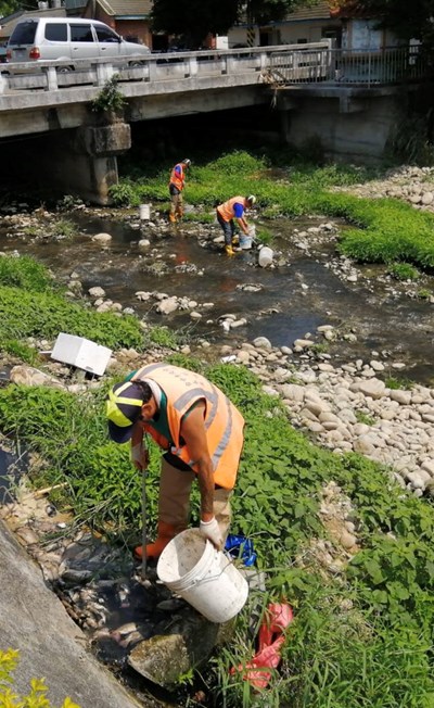 炎熱東大溪出現死魚  中市府清理並慎重稽查源頭