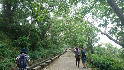 中市府推台中賞花美食之旅  邀您一同探索繽紛美景