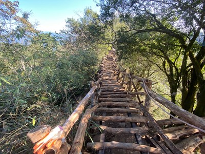 大坑4號步道-相思木棧道損壞整建