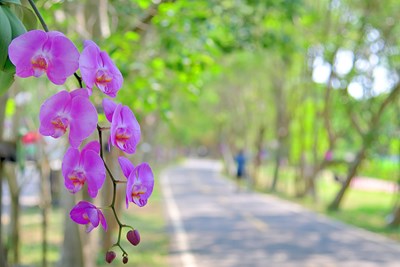 潭雅神自行車道