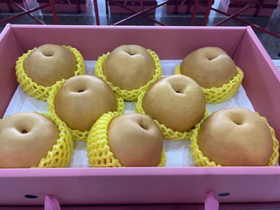 中市優質高接梨評鑑出爐