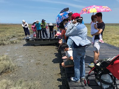 高美濕地體驗活動夯  中市府加開場次