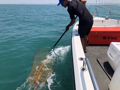 中市府廣下英雄帖 徵求潛水愛好者組「潛海戰將」淨海