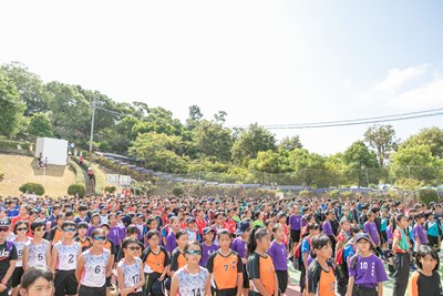 永信杯全國排球錦標賽每年吸引全國各地數千名選手響應