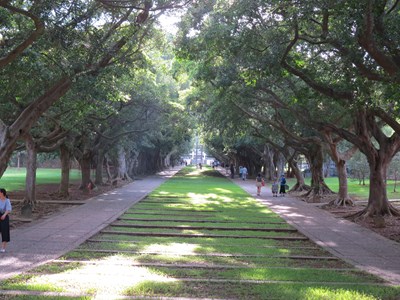 東海大學通過認證