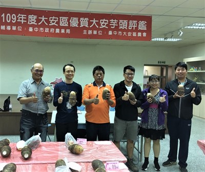 大安芋頭評鑑比賽   農友卓國章摘下特等獎