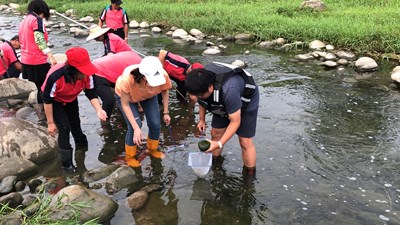 中市水質監測闖關遊戲  10月24日帶你動手檢驗水質