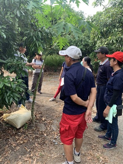 生產與生態平衡 太平興隆社區教導荔枝綠色生態農業