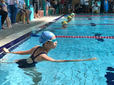 協會盃游泳錦標賽 380位游泳小將水中較勁