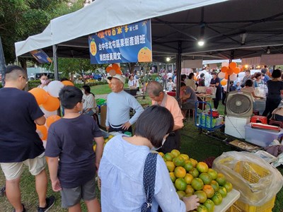 台中椪柑嘉年華行銷在地好橘