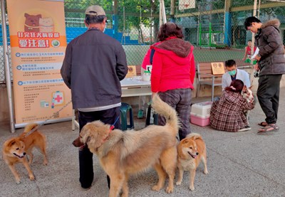 犬貓狂犬病疫苗及寵物晶片巡迴注射活動