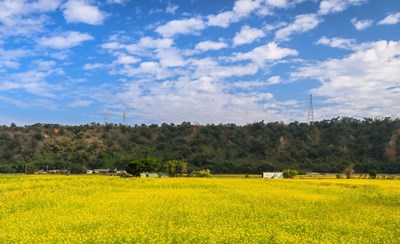 中市2天1夜微旅行 忘憂谷必踩景點攻略