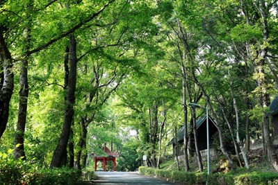 東勢林場遊樂區