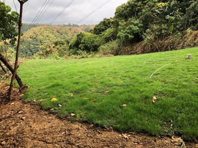 山坡地開發利用應依法提出申請，並確實依核定計畫實施