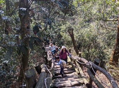 4號步道常吸引許多登山遊客來挑戰