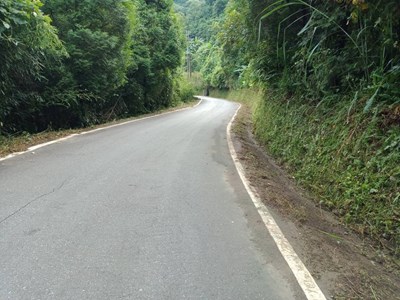 雜草清除後現況