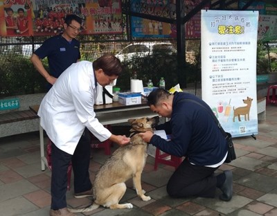 寵愛毛孩一起來  中市3、4月狂犬疫苗注射場次出爐