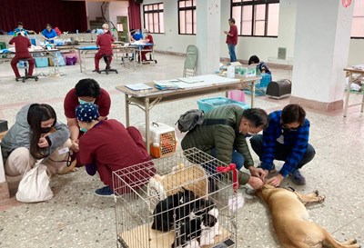 加強犬貓源頭管理及狂犬病防治，台中市政府動保處與社團法人台灣之心愛護動物協會，
