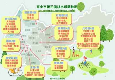 3月必拍「黃花風鈴木」蓄勢綻放 中市懶人包揭31處賞花勝地
