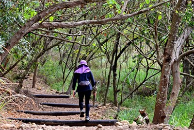 環保公園登山步道(碎石步道)