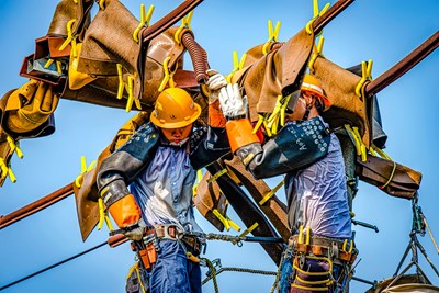 張枝柳_安全護具