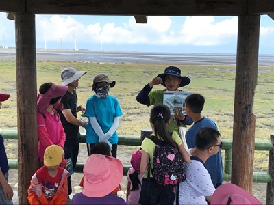 高美濕地生態導覽圖1