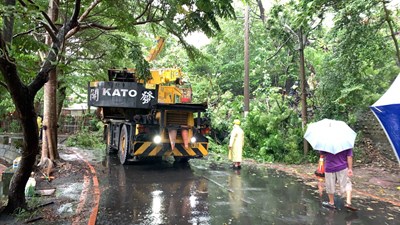 熱帶低氣壓夾帶大雨來襲  中市府持續加強路樹巡檢