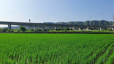 耕地三七五租約期滿工作考評  中市地政局榮獲優等佳績