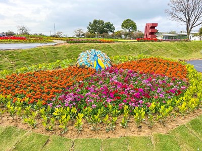 后里環保公園粉紫花海