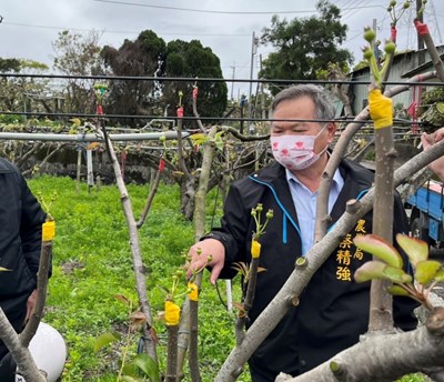 寒流全台低溫  農業局長關心農作物災損情形