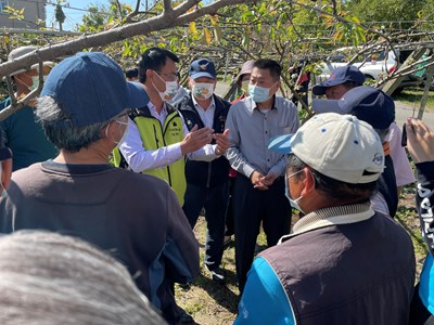 中市政府協同行政院農業委員會關心寒流災損及茂谷柑行銷