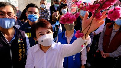 平昌櫻花祭已邁入第12年